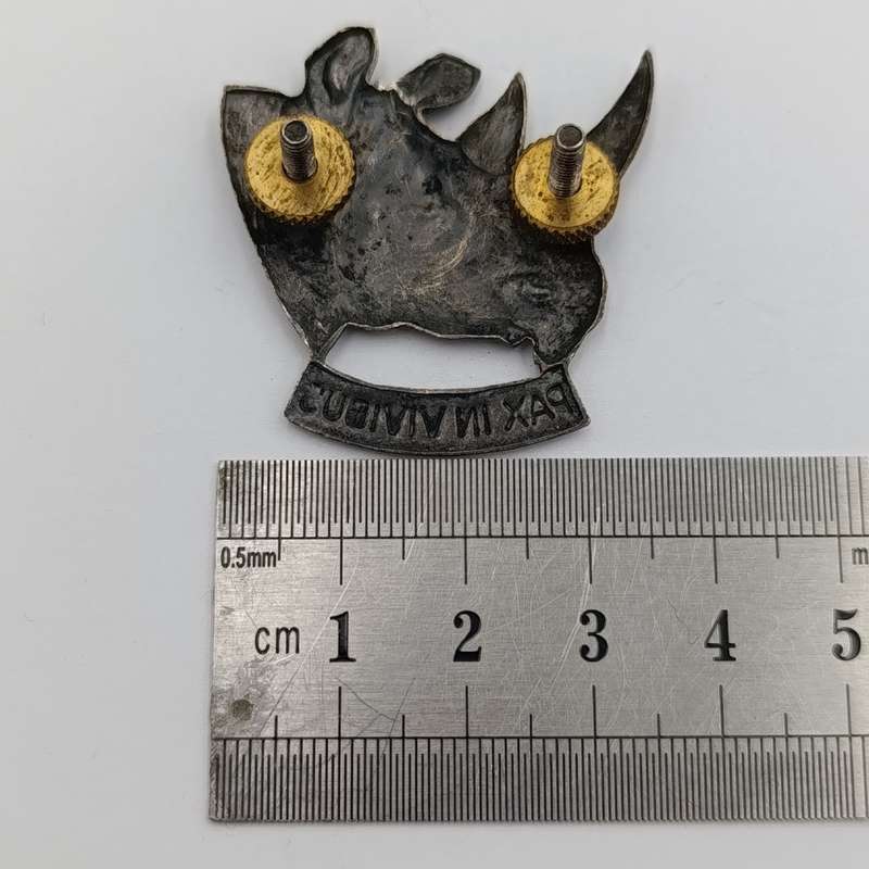 SWA 101 Battalion cap badge