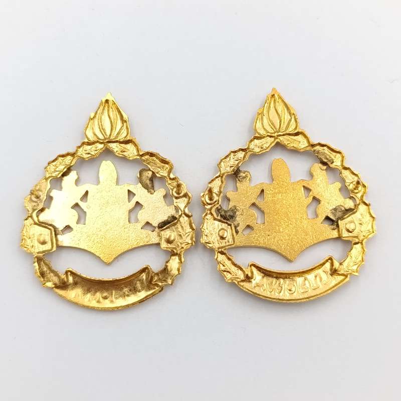 Pair of Lebowa Police warrant officer rank badges