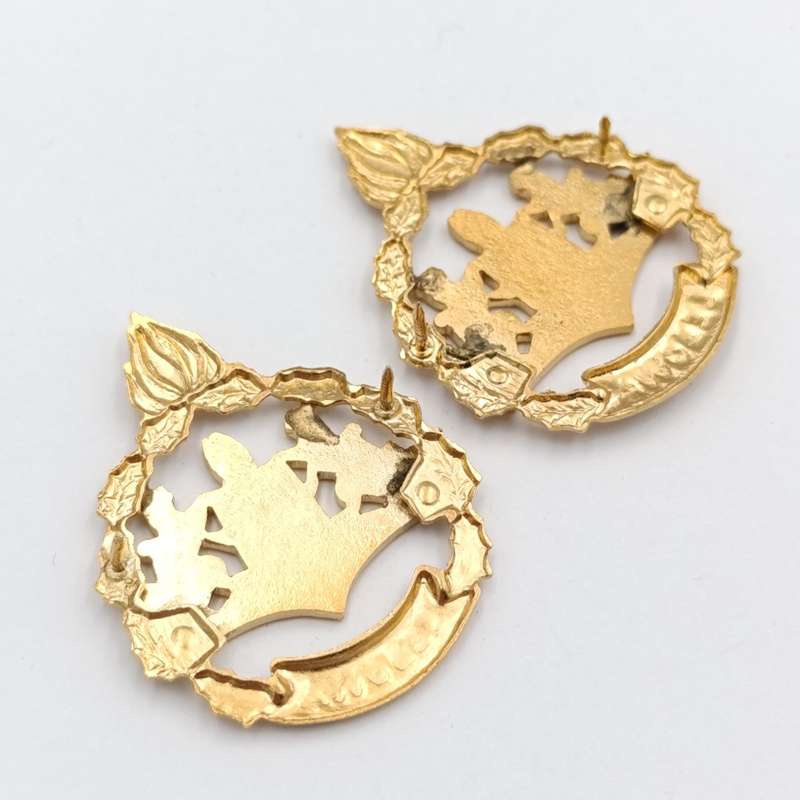 Pair of Lebowa Police warrant officer rank badges