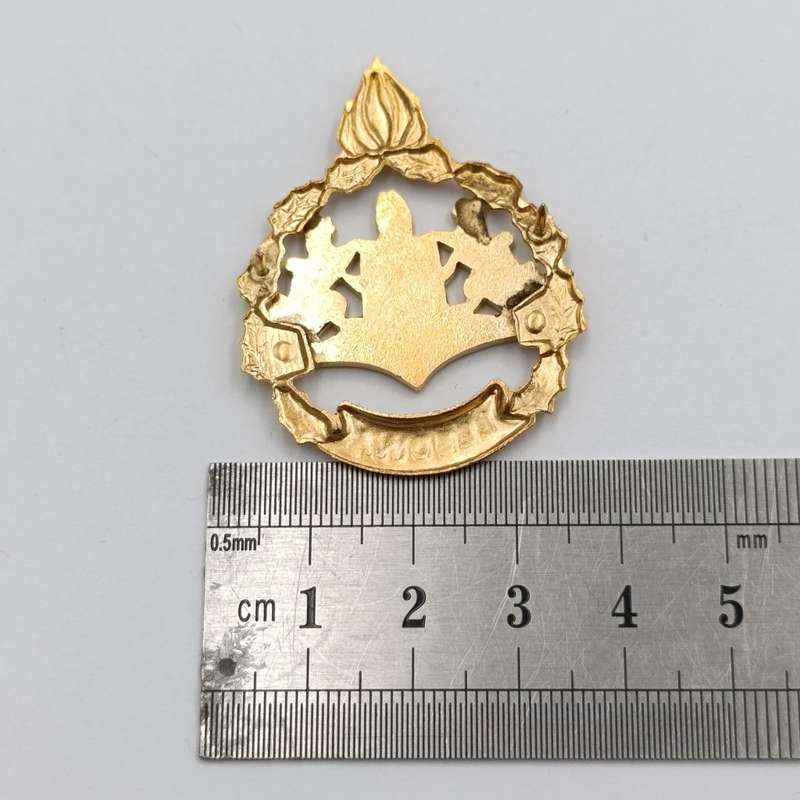 Pair of Lebowa Police warrant officer rank badges