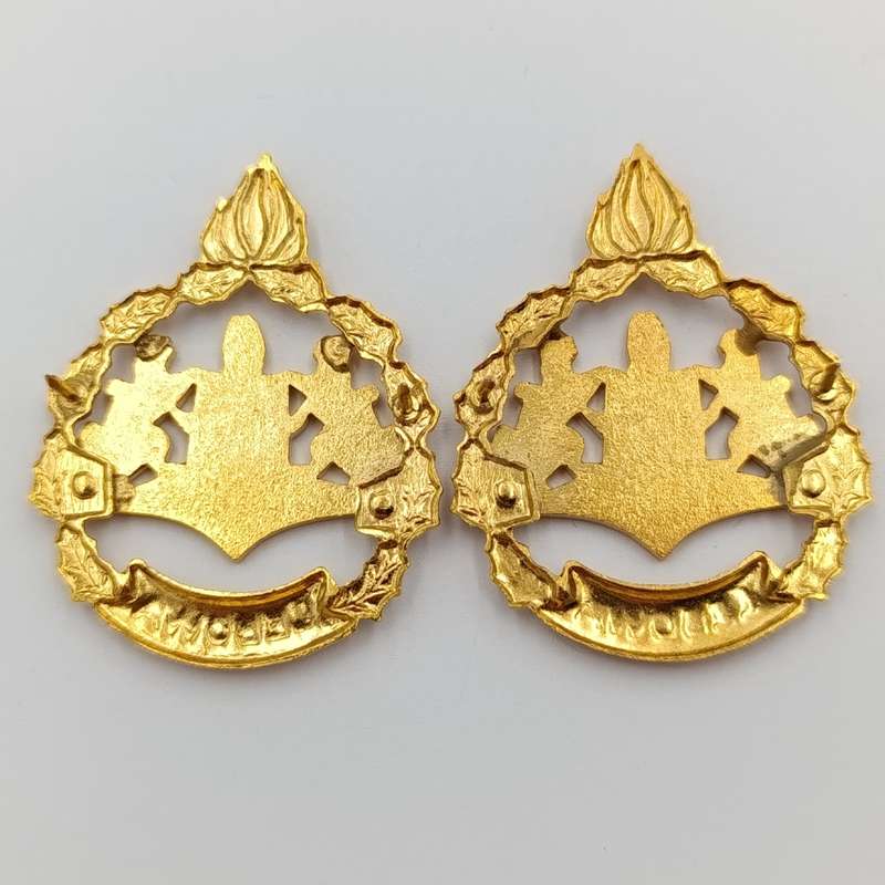 Pair of Lebowa Police warrant officer rank badges