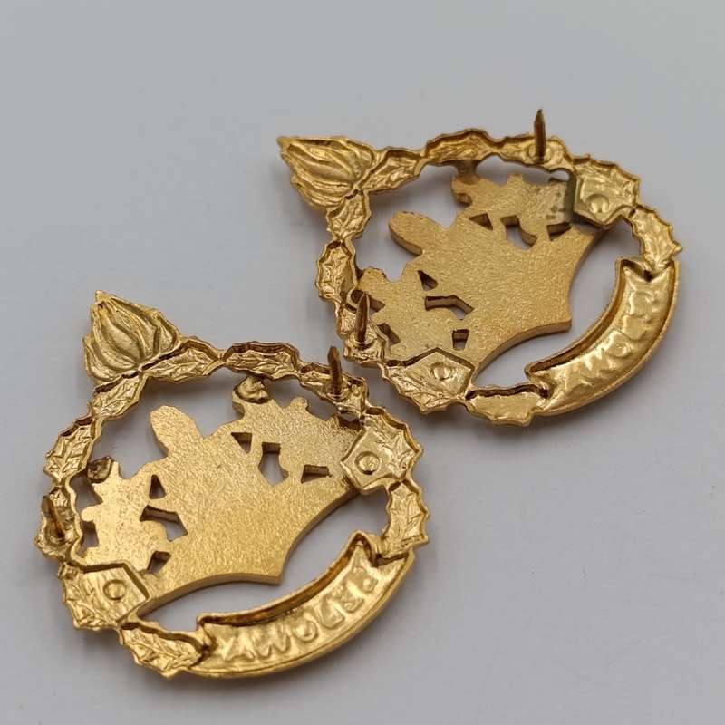 Pair of Lebowa Police warrant officer rank badges