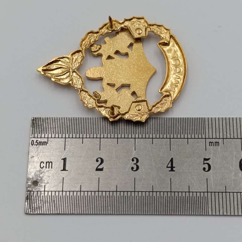 Pair of Lebowa Police warrant officer rank badges