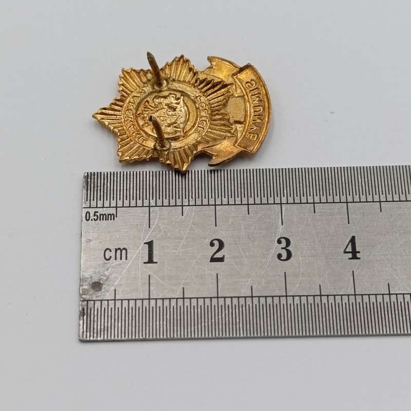 Pair of Kangwane Police collar badges
