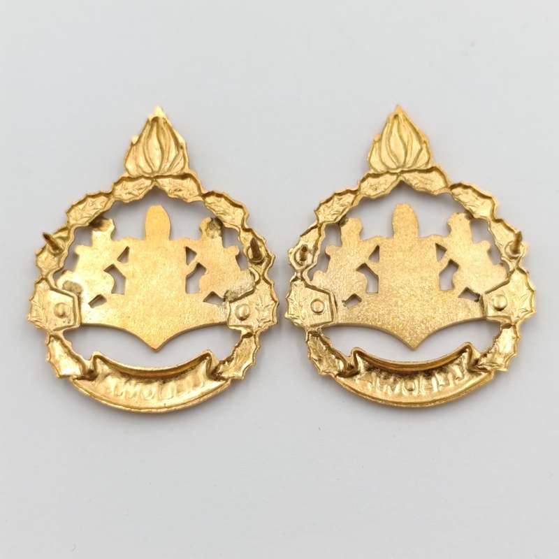 Pair of Lebowa Police warrant officer rank badges