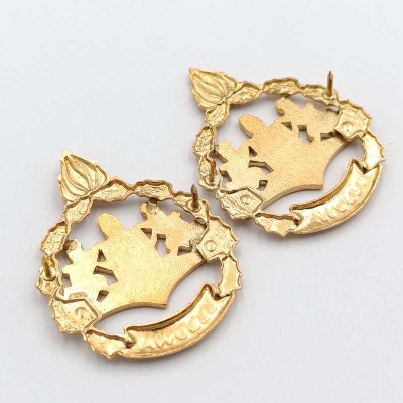 Pair of Lebowa Police warrant officer rank badges