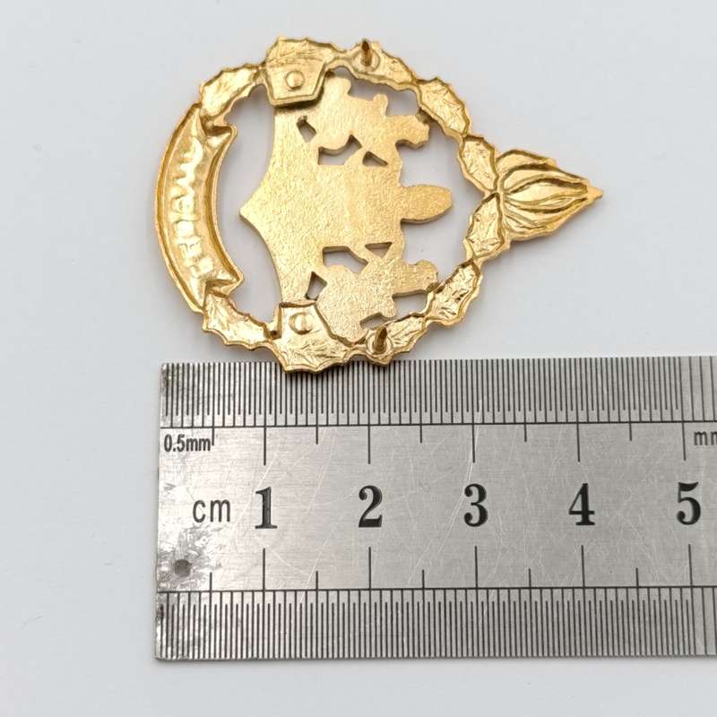 Pair of Lebowa Police warrant officer rank badges