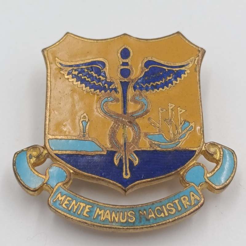 Vintage Cape Technical college badge