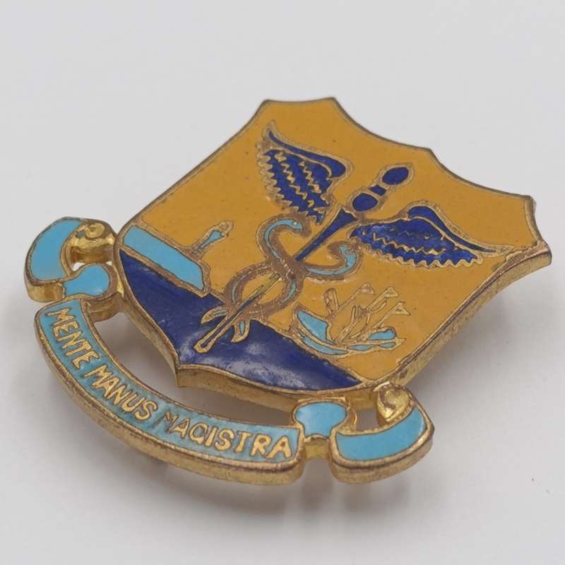 Vintage Cape Technical college badge