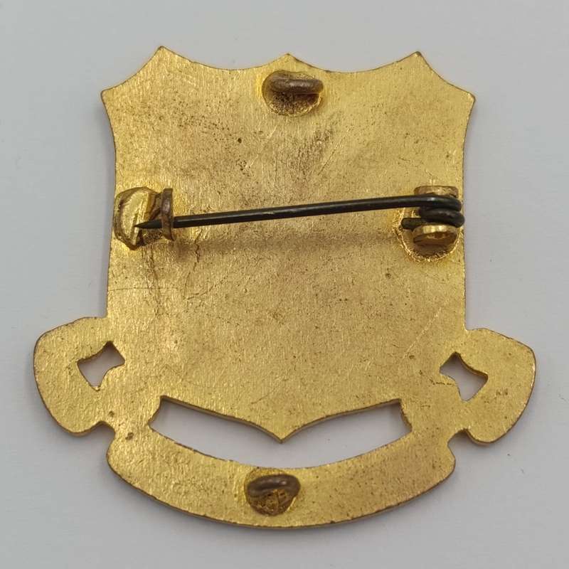 Vintage Cape Technical college badge