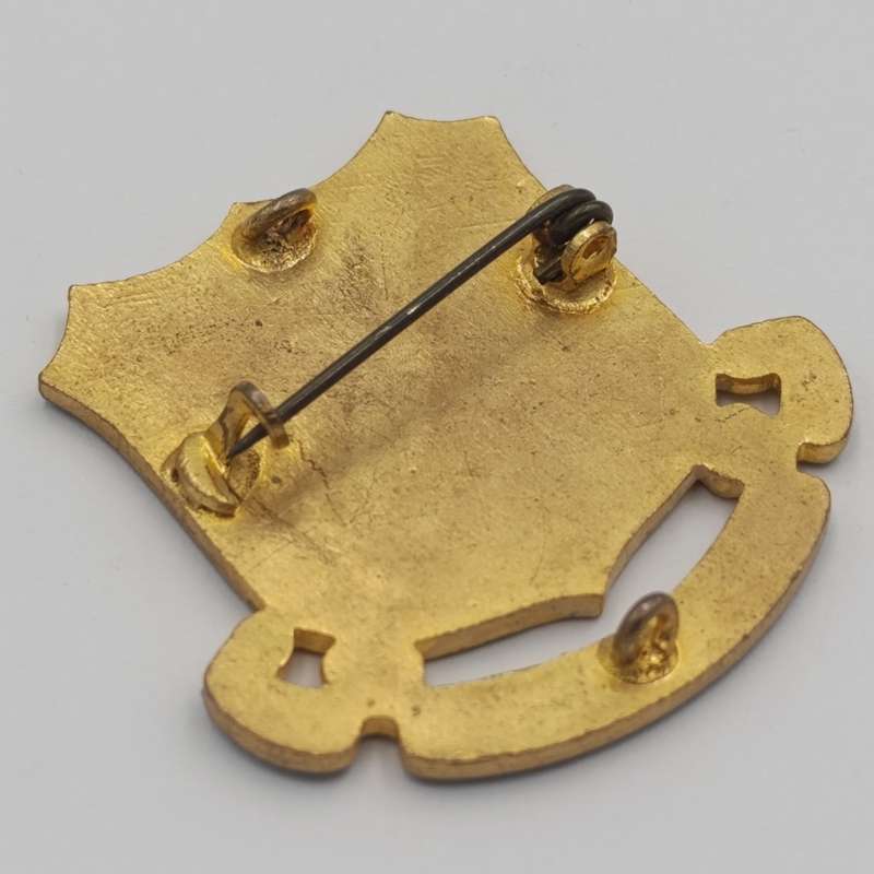 Vintage Cape Technical college badge