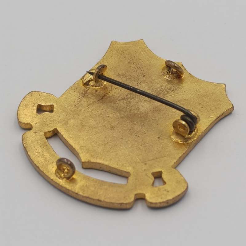 Vintage Cape Technical college badge