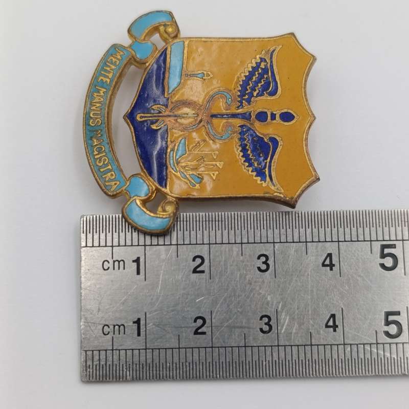 Vintage Cape Technical college badge