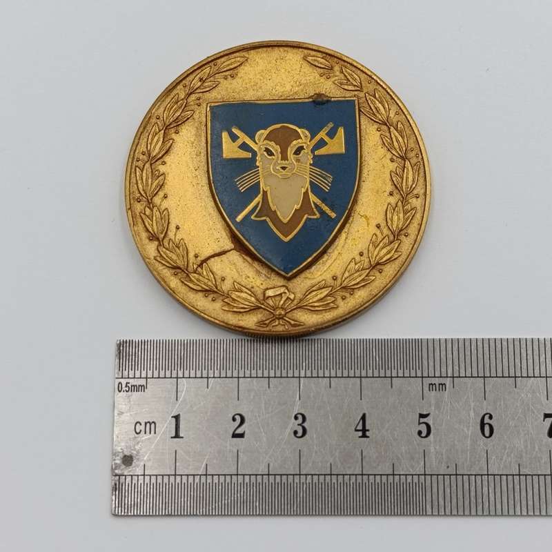 SADF 115 Battalion medallion - glue residue on back