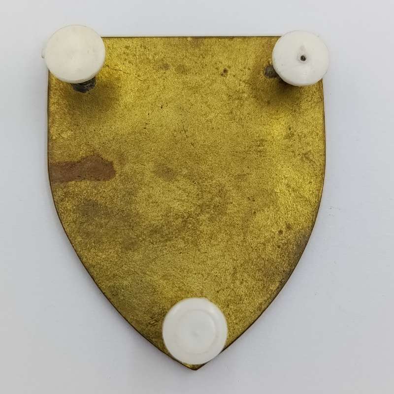 2 SA Cape Corps battalion Shoulder flash