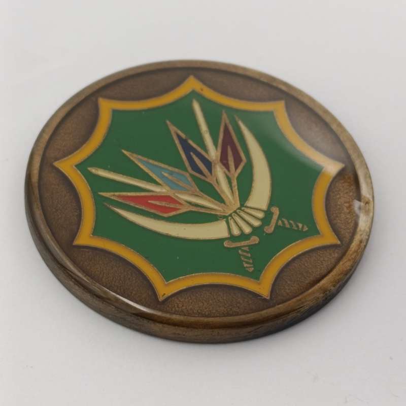 SANDF - South African National Defence Force coat of arms medallion