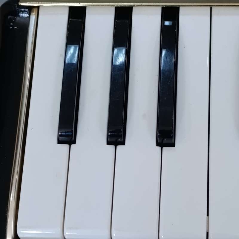 Vintage Hohner Melodica Professional 36 in case