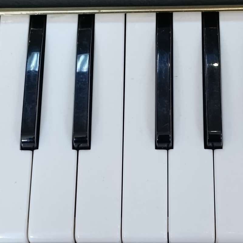 Vintage Hohner Melodica Professional 36 in case