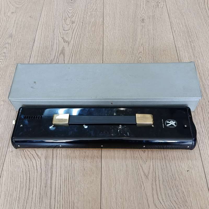 Vintage Hohner Melodica Professional 36 in case
