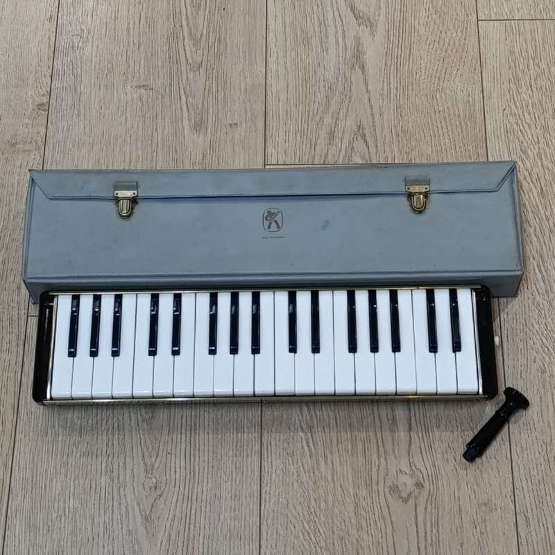 Vintage Hohner Melodica Professional 36 in case