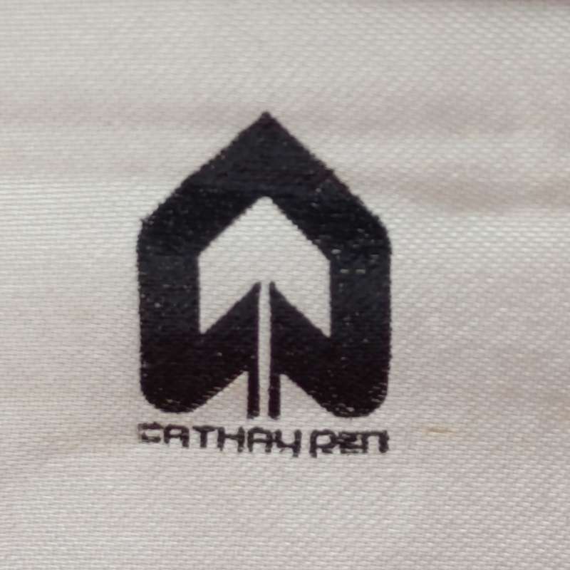The Revolutionary Versatile Cathay pen in case with various tips