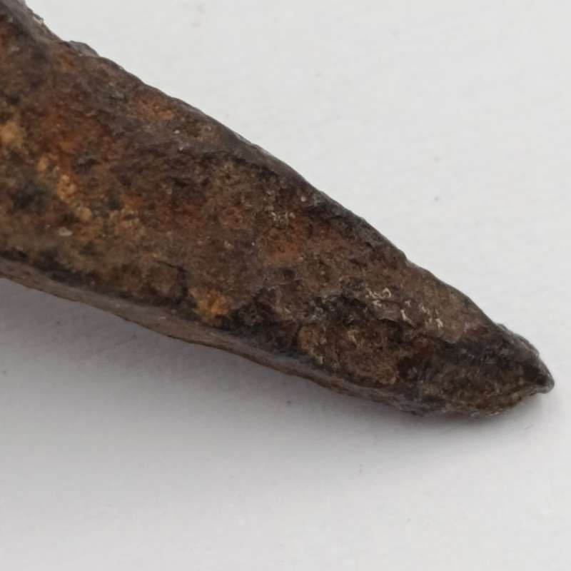 Boer War Perdedoring metal spike
