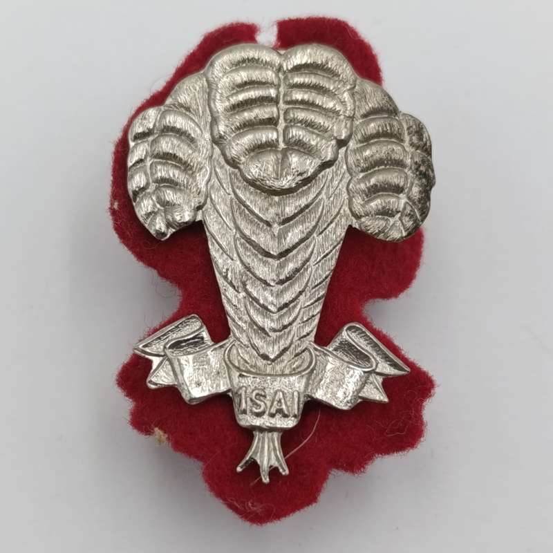 SADF 1 SA Infantry beret badge with backing