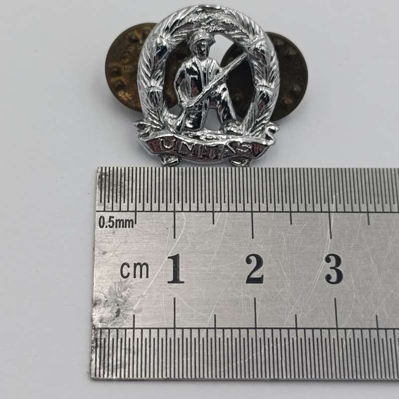Pair of SADF commandos mess dress collar badges
