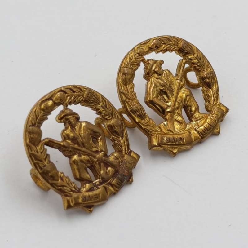 Pair of SADF skiet kommando brass mess dress collar badges