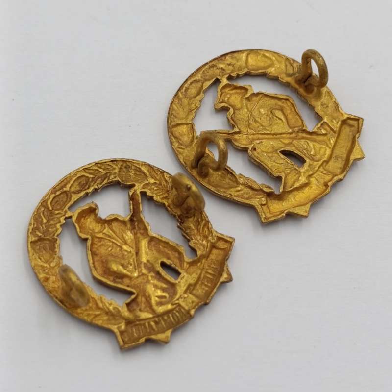 Pair of SADF skiet kommando brass mess dress collar badges