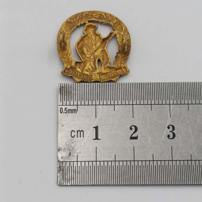 Pair of SADF skiet kommando brass mess dress collar badges