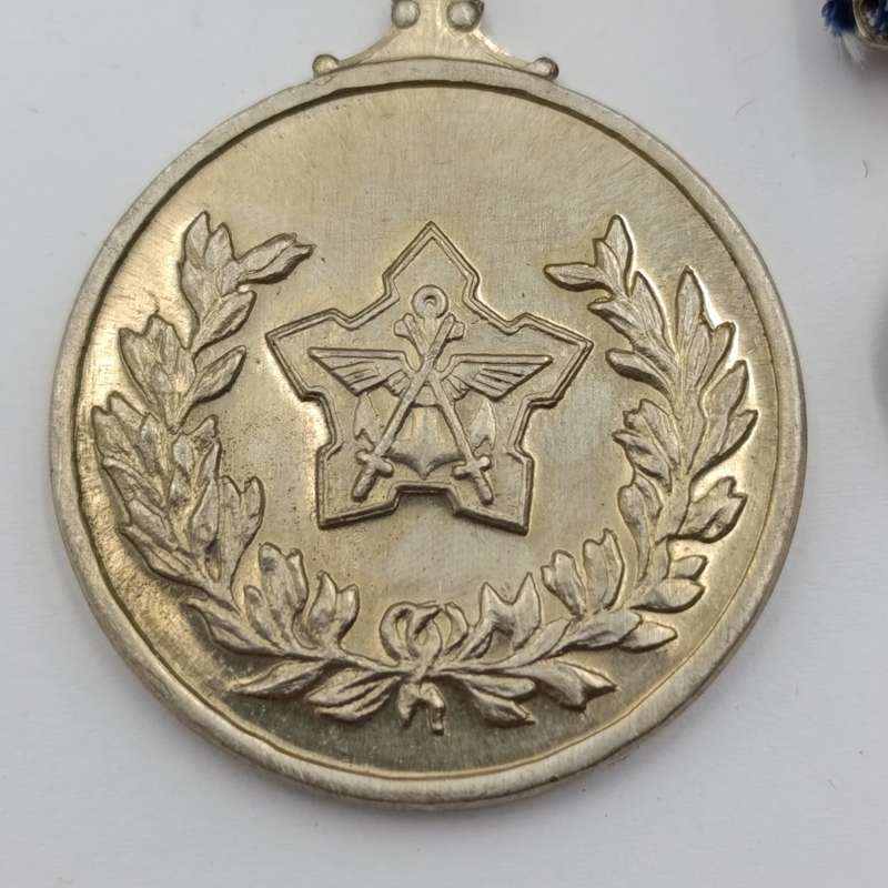 SADF General Service medal with miniature #126295