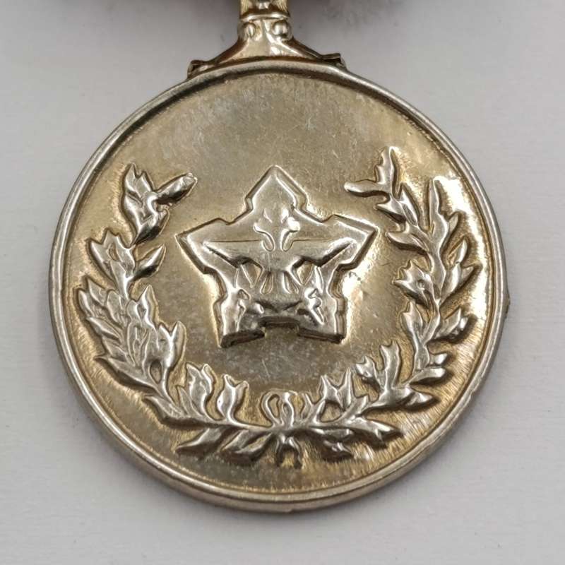 SADF General Service medal with miniature #126295