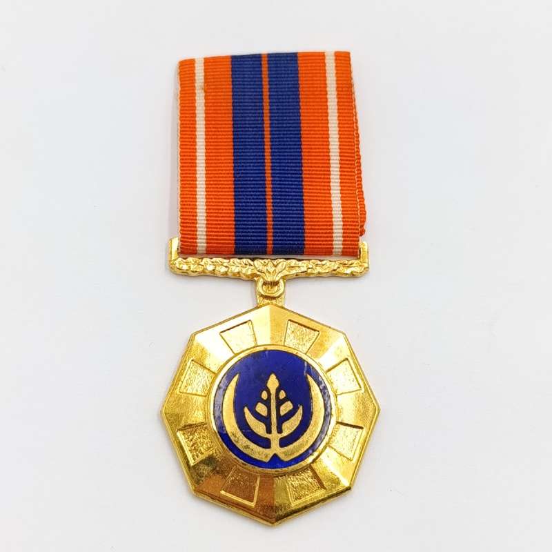 SADF Pro Patria medal - fixed type #190149