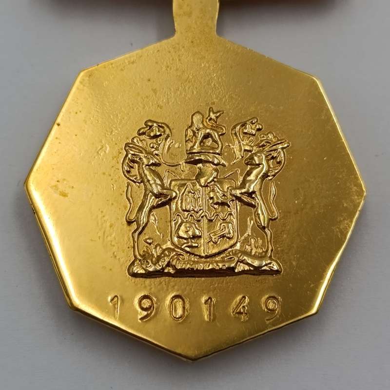 SADF Pro Patria medal - fixed type #190149
