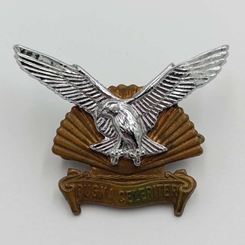 SADF Durban regiment cap badge