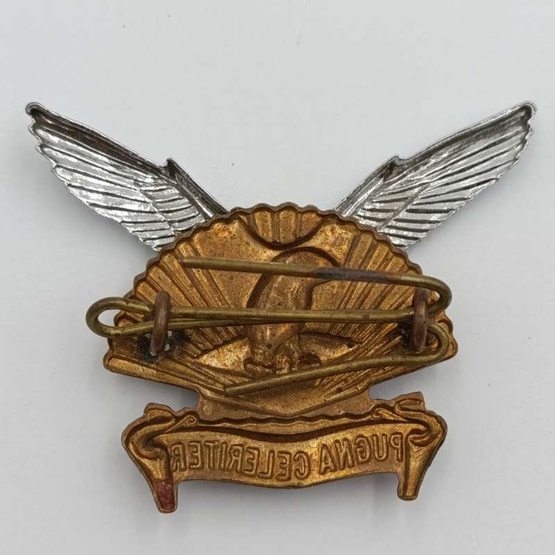 SADF Durban regiment cap badge