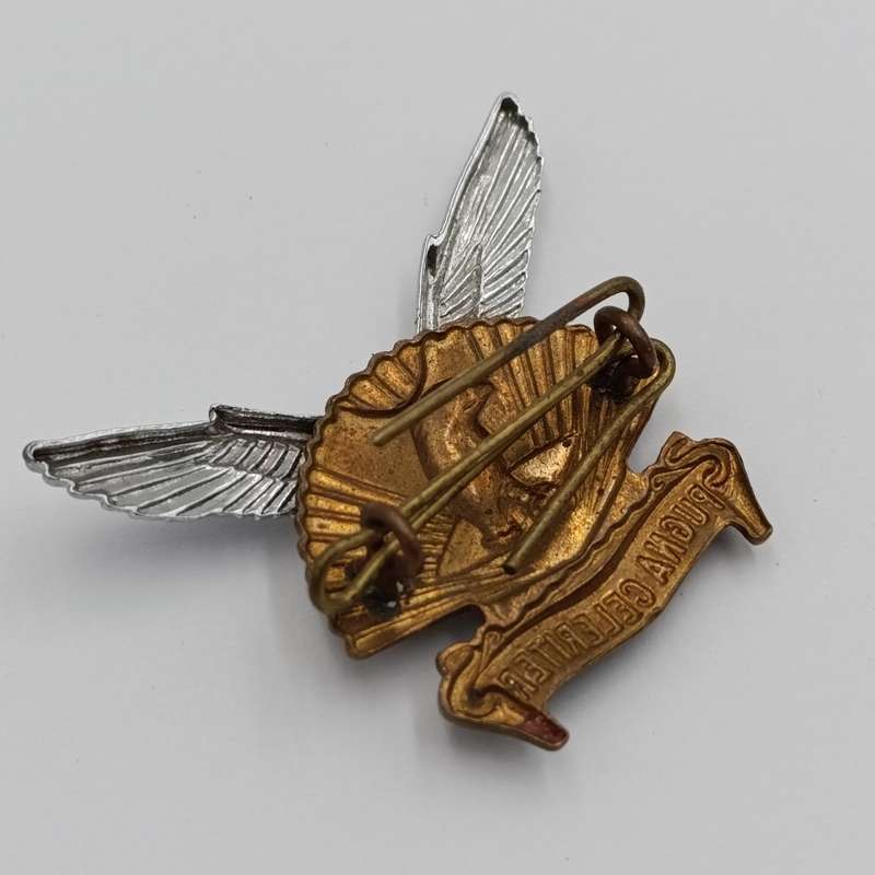 SADF Durban regiment cap badge