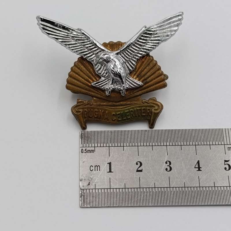 SADF Durban regiment cap badge