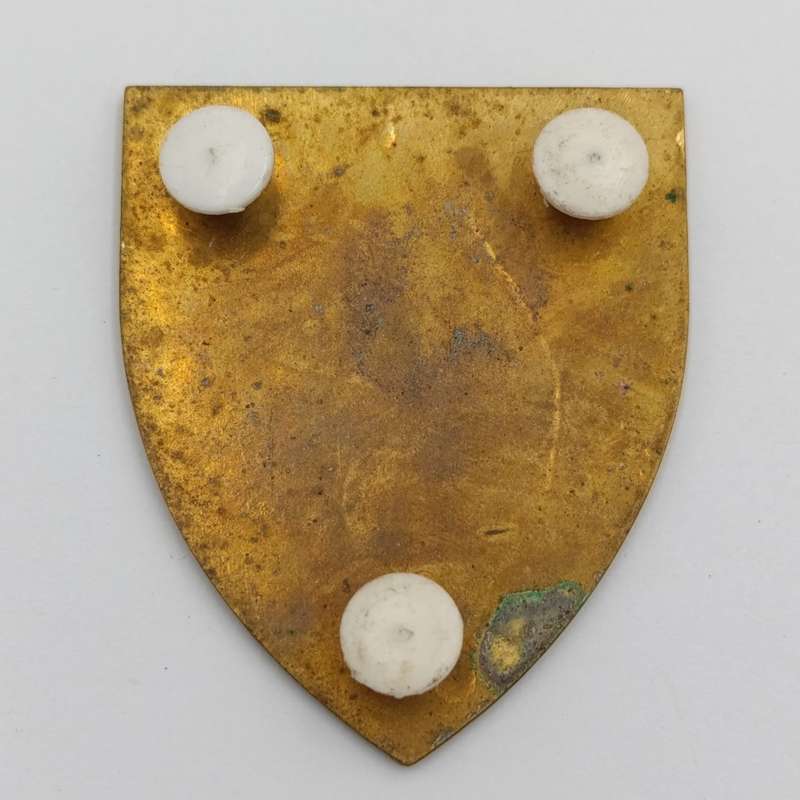 SADF 1 SA Infantry shoulder flash