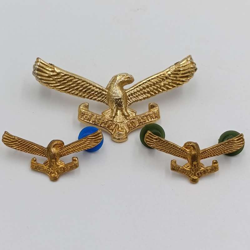 Set of SA Air Force cap and collar badges