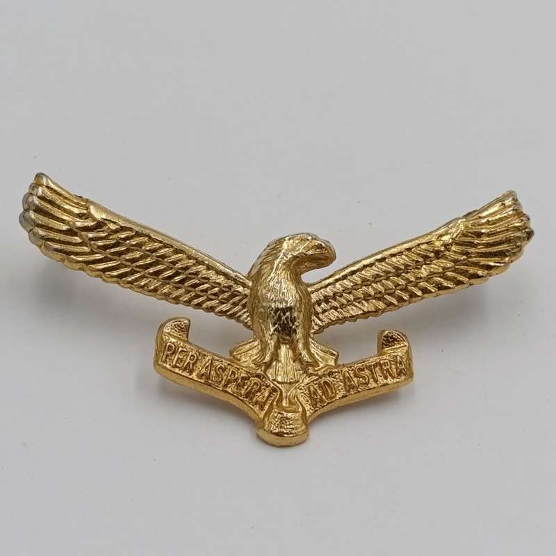 Set of SA Air Force cap and collar badges