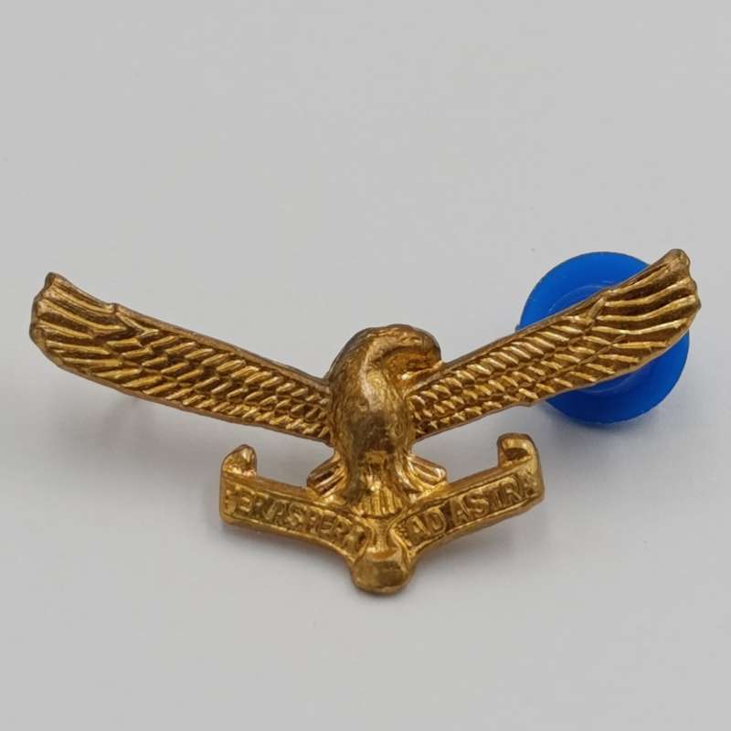 Set of SA Air Force cap and collar badges
