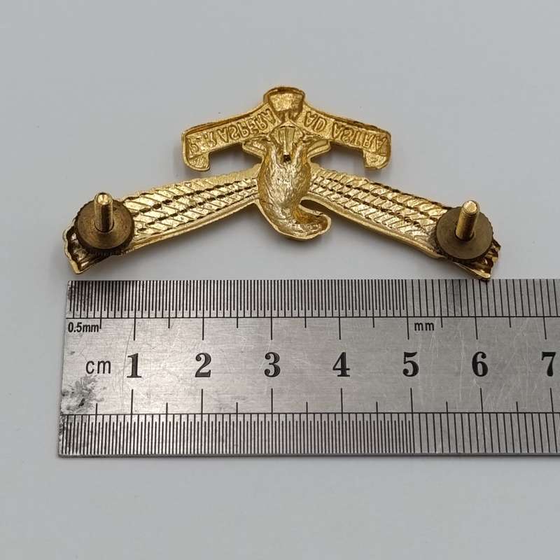 Set of SA Air Force cap and collar badges