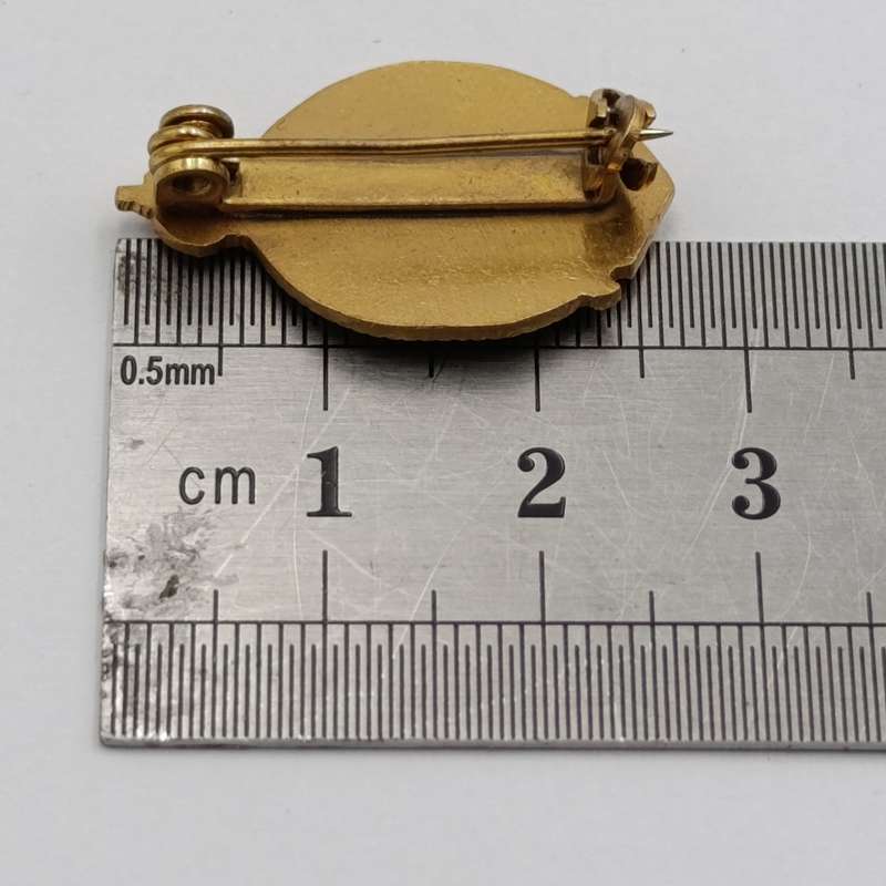 South African Legion BCESL lapel pin badge