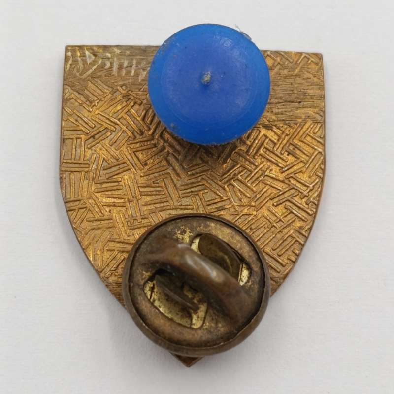 SADF 1 SA Infantry fob flash