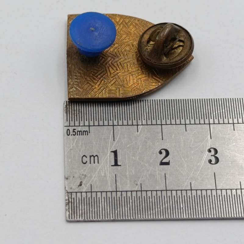 SADF 1 SA Infantry fob flash