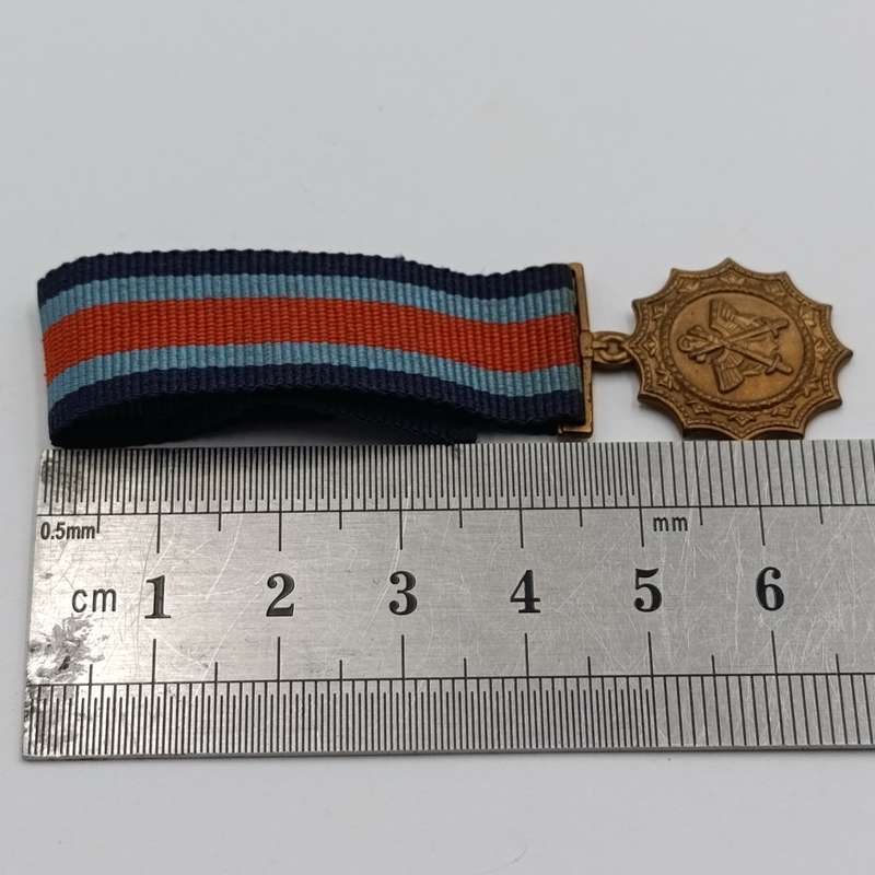 SADF Military Merit medal miniature