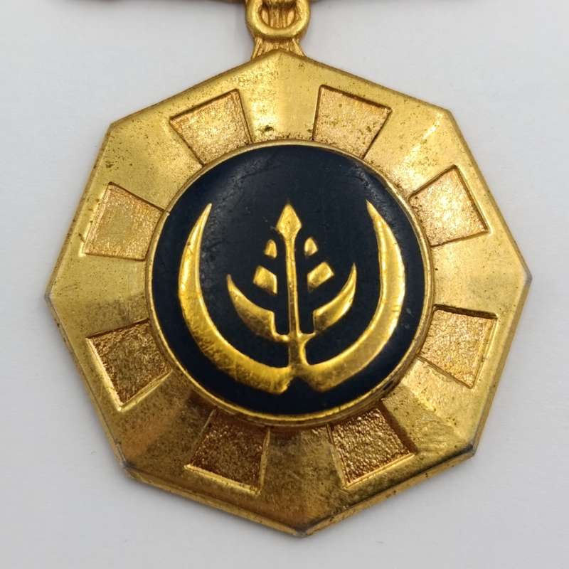 SADF Pro Patria medal - fixed type #217058