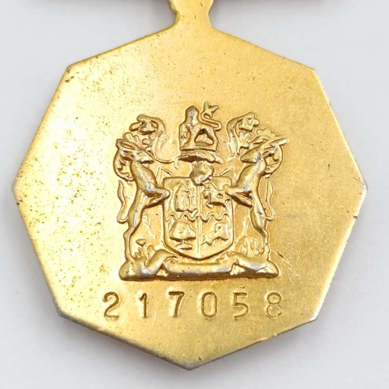 SADF Pro Patria medal - fixed type #217058